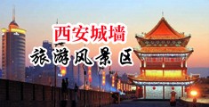 白虎嫩穴中国陕西-西安城墙旅游风景区